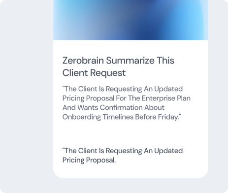 ZeroBrain summarizing client request